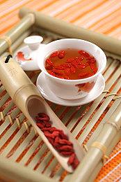 高难度动物拟人RPG游戏《安尼姆的无尽旅途》即将上线